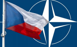 Чехия усомнилась в НАТО после провала США в Афганистане