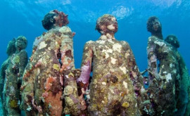 Захватывающие кадры с уникальным местом в Европе подводным лесом из скульптур