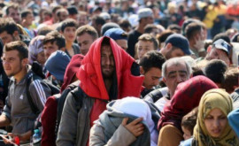 Гросу Молдова пока не готова принимать беженцев из Афганистана