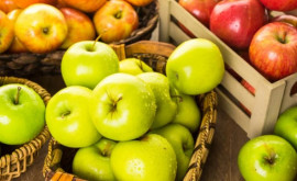 Informații utile pentru fermierii moldoveni Care soiuri de mere sînt cele mai solicitate de cumpărători