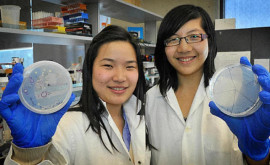 Cтудентки вывели бактерии которые могут превращать пластик в CO2 и воду