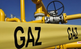 НАРЭ одобрило сертификацию оператора системы транспортировки природного газа