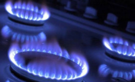 Власти не смогут договориться о более выгодной цене на газ Заявление