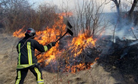 Пожарные ликвидировали более 20 очагов возгорания растительности