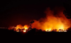 Incendiu de proporții în Spania Peste 2000 de oameni au fost evacuați iar un pompier a murit