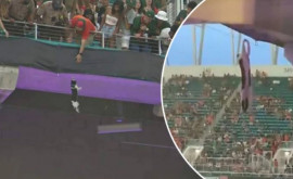 В США во время матча на стадионе с трибуны сорвался кот и повис на огромной высоте