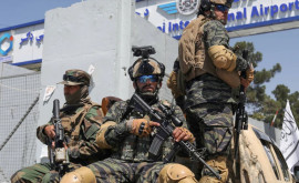 Талибы хотят создать регулярную армию в Афганистане