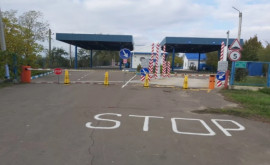 НПО бьют тревогу Новая дорога и линия 330 кВ разрушат экологию на молдоукраинской границе