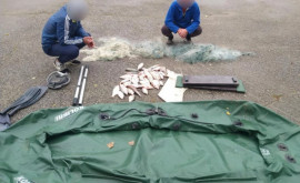 За незаконную ловлю рыбы оштрафованы несколько рыбаков