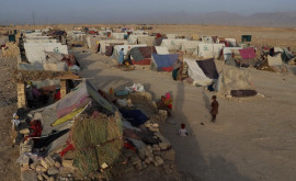 В США будут бороться с кризисом за счет афганских беженцев