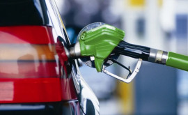 НАРЭ опубликовало новые цены на топливо