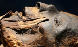 Ученые воссоздали лица древнеегипетских мумий ФОТО