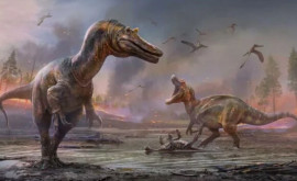 Ученые обнаружили два новых вида динозавров