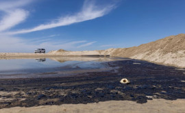 Dezastru ecologic în SUA Trei mii de barili de petrol au ajuns în Oceanul Pacific