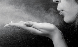 Пыль оказалась живой и более опасной для здоровья