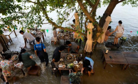 В Таиланде наводнение сделало популярным подтопленный ресторан