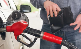 НАРЭ опубликовало новые цены на топливо максимумы уже не удивляют