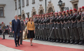 Президенты Молдовы и Австрии договорились об укреплении сотрудничества между двумя странами