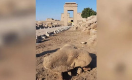 В Египте нашли древнего сфинкса с головой барана