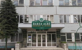 Назначен новый гендиректор компании Barza Albă 