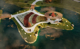 Остров тюльпанов новая достопримечательность Ботанического сада Запущена кампания по сбору средств
