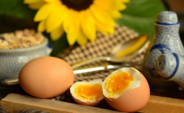 Яйца польза или вред