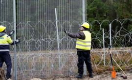 Литва продолжает строить заграждения на границе с Беларусью