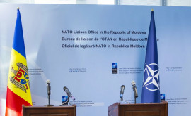 Почему США хотят побыстрее затолкать Молдову в НАТО Мнение 