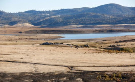 Южная Калифорния столкнулась с беспрецедентной засухой 