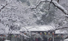 Сильный снегопад обрушился на несколько провинций Китая