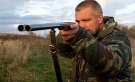 Охотники просят разрешить охоту на диких уток и гусей