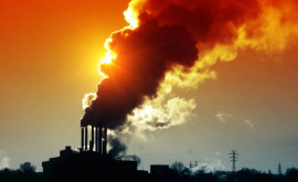 Expunerea la poluarea atmosferică poate afecta funcţiile cognitive studiu