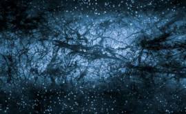 Oamenii de știință Axionii pot fi candidați la rolul de materie întunecată în Univers
