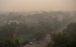 В столице Индии закрыли школы и колледжи изза грязного воздуха