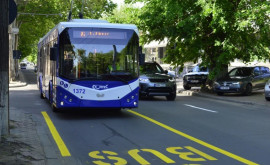 Ceban Benzile dedicate vor reduce de două ori timpul de călătorie cu transportul public din Chișinău