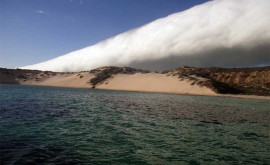 В Австралии запечатлели на видео огромное облако
