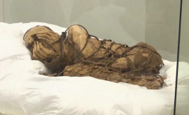 В Перу найдена мумия возрастом около 1000 лет