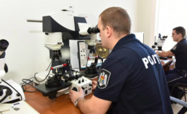 Молдавские криминалисты ежегодно проводят более 8 000 экспертиз