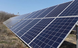 Фотоэлектрические солнечные системы можно будет разместить на землях сельскохозяйственного назначения