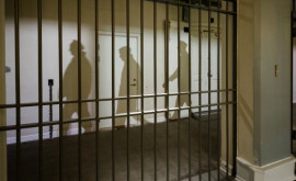 Дания будет отправлять заключенных в арендованные тюрьмы в Косово