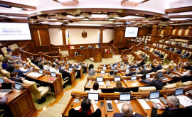 Парламент принял Закон об амнистии в связи с 30летием независимости Молдовы