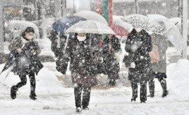 На Японию обрушился снегопад