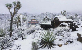 Intemperii în nordvestul ţării ninsori record în California