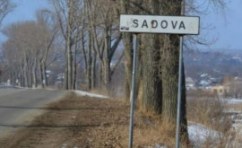 Rezultatele perchezițiilor de la Sadova Ce au găsit procurorii