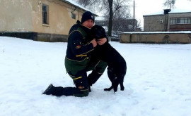 Служебная собака Пограничной полиции почетно выходит на пенсию