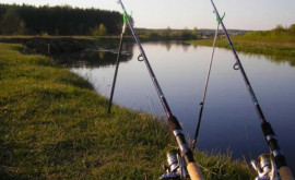 Незаконная рыбалка в пограничных водах Днестра
