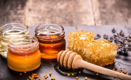 Молдавский мёд завоевывает рынки Канады и США