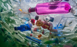 Более 70 крупных компаний призывают заключить пакт по борьбе с пластиковым загрязнением