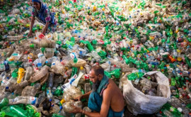 Мировые бренды призывают к сокращению производства пластика