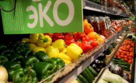 Молдавская органическая продукция может быть успешна на российском рынке Заявление